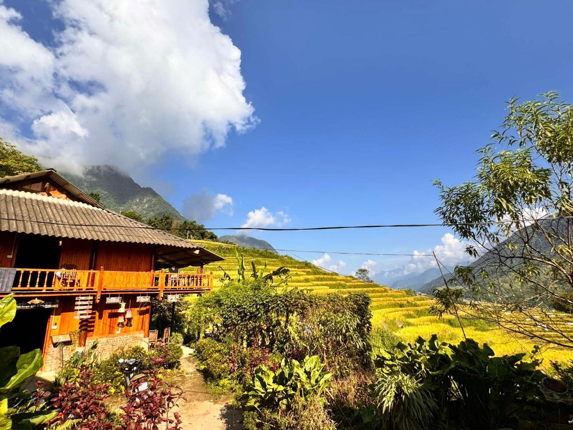 Surelee Homestay Sapa Exterior foto